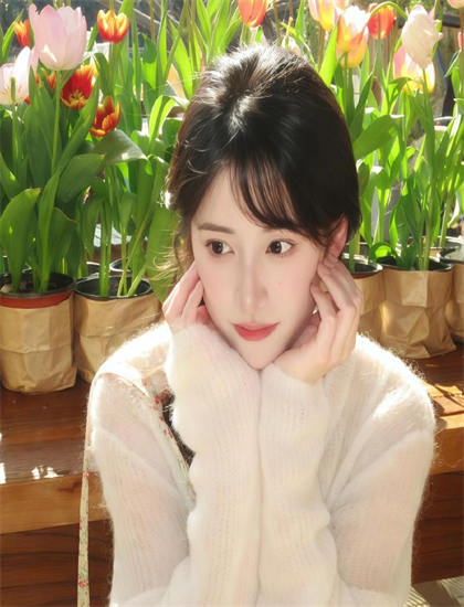 《少林七嵌》故事脉络梳理：主线与支线情节完整独立解读